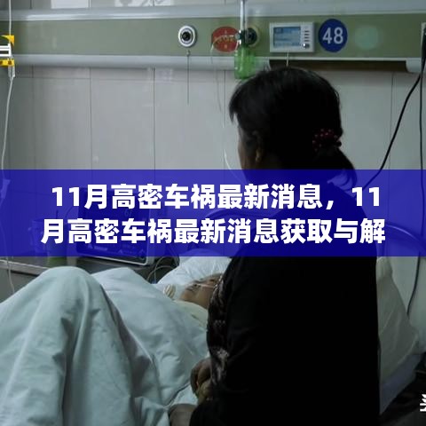 11月高密車禍最新消息解讀與獲取指南,適用于初學(xué)者與進(jìn)階用戶