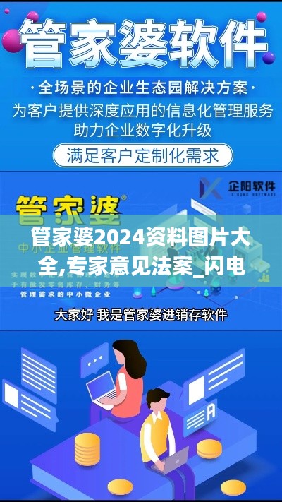 管家婆2024資料圖片大全,專家意見(jiàn)法案_閃電版JOC5.3