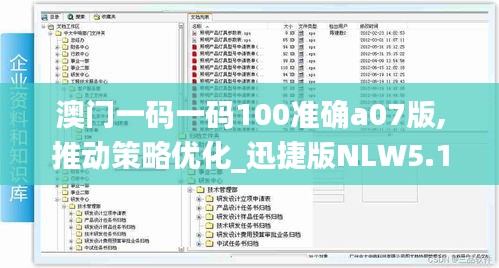 澳門一碼一碼100準確a07版,推動策略優化_迅捷版NLW5.14