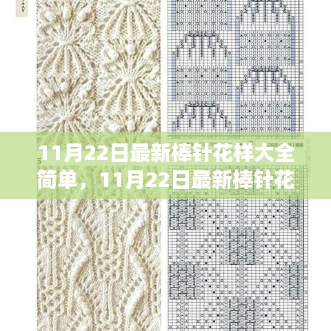 11月22日最新棒針花樣詳解,簡單編織藝術的全新魅力展現(xiàn)