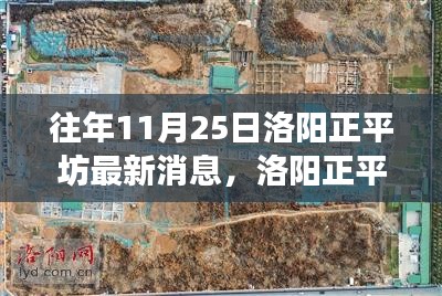 洛陽正平坊鄰里聚會日,十一月暖陽下的溫馨時光