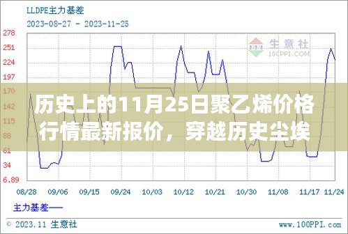 探尋聚乙烯價(jià)格背后的自然秘境,歷史上的價(jià)格行情與最新報(bào)價(jià)的心靈之旅(11月25日)