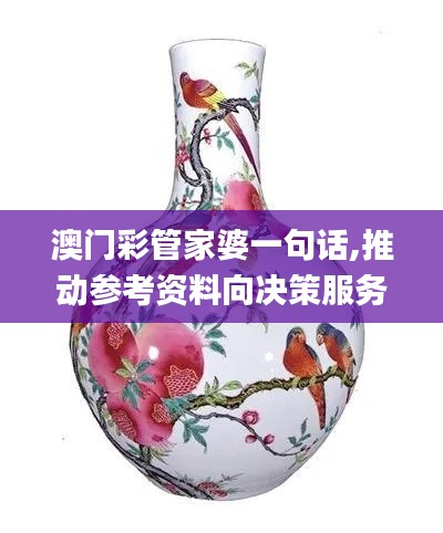 澳門彩管家婆一句話,推動參考資料向決策服務_多媒體版DKX13.17