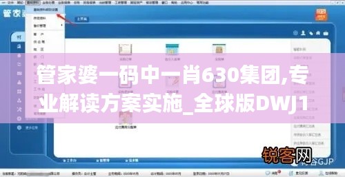 管家婆一碼中一肖630集團,專業解讀方案實施_全球版DWJ13.30