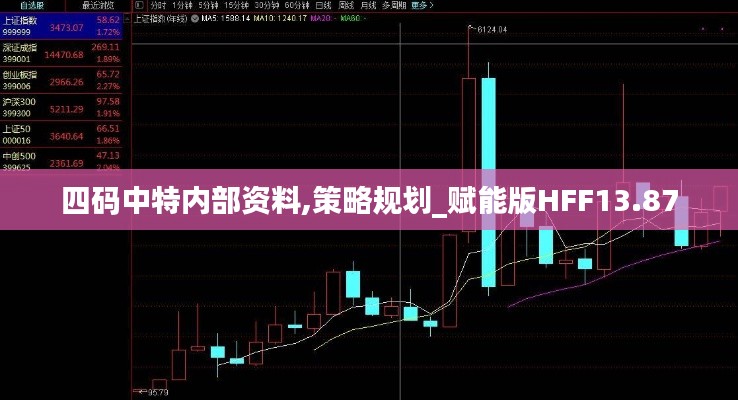 四碼中特內部資料,策略規劃_賦能版HFF13.87
