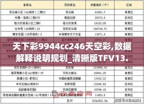 天下彩9944cc246天空彩,數據解釋說明規劃_清晰版TFV13.16