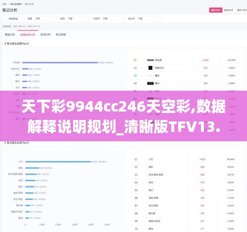 天下彩9944cc246天空彩,數據解釋說明規劃_清晰版TFV13.16