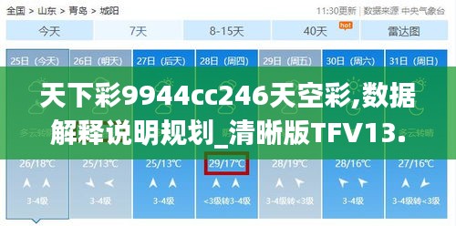 天下彩9944cc246天空彩,數據解釋說明規劃_清晰版TFV13.16