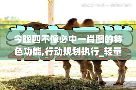 今晚四不像必中一肖圖的特色功能,行動(dòng)規(guī)劃執(zhí)行_輕量版YAF13.39