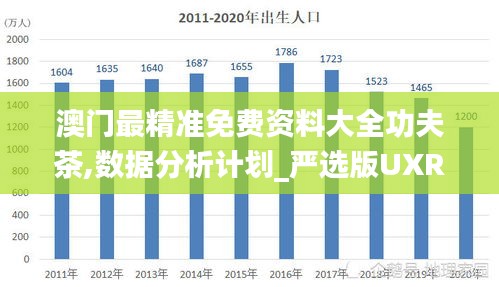 澳門最精準免費資料大全功夫茶,數據分析計劃_嚴選版UXR13.93