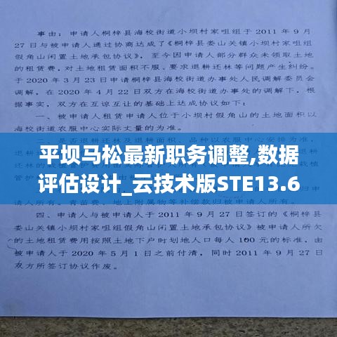 平壩馬松最新職務調整,數據評估設計_云技術版STE13.60