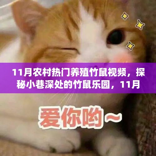 探秘農村竹鼠樂園,揭秘熱門養殖竹鼠視頻背后的故事