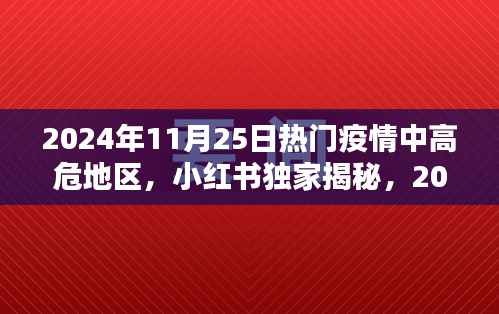 小紅書(shū)獨(dú)家揭秘，2024年11月25日疫情中高危地區(qū)深度解析與觀(guān)察