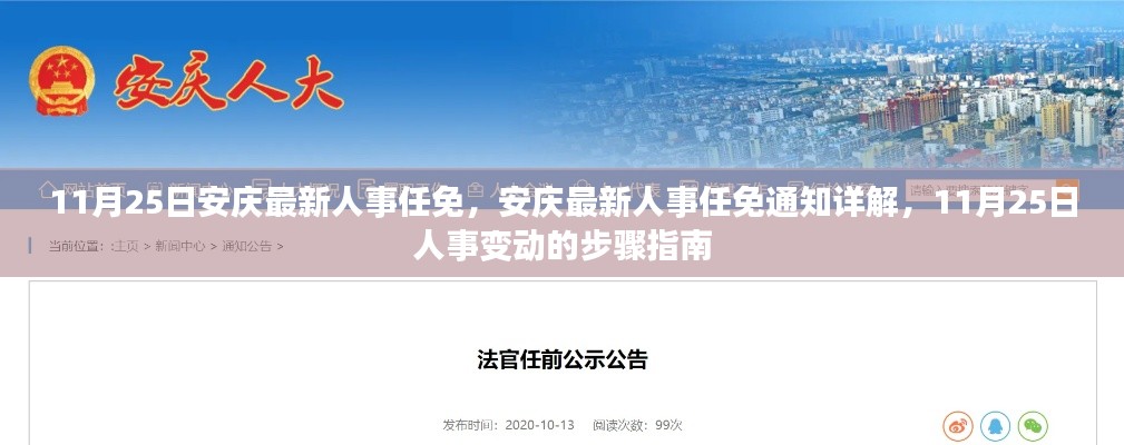 安慶人事任免最新動態，11月25日人事變動詳解與步驟指南