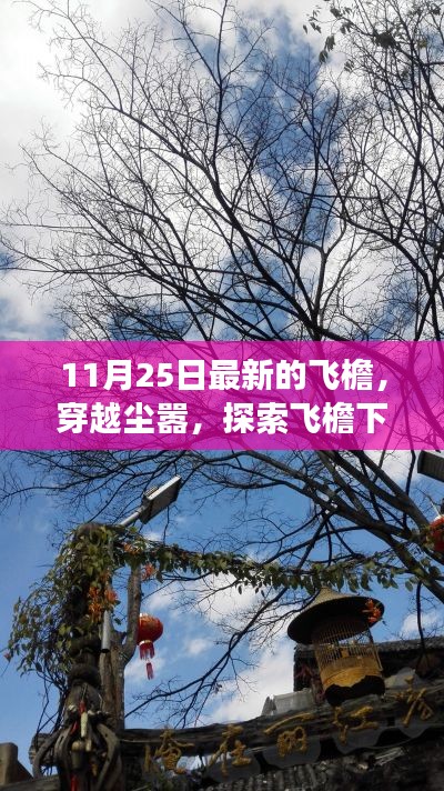 飛檐下的心靈之旅,穿越塵囂探尋自然美景的奇跡