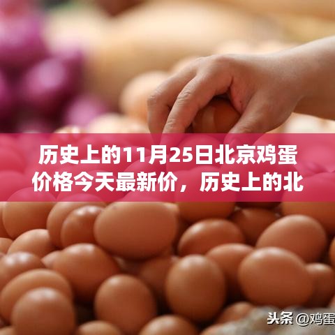 北京雞蛋價格演變與今日市場最新動態分析,歷史數據與今日市場對比報告
