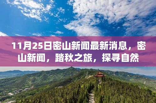 美輪美奐 第6頁