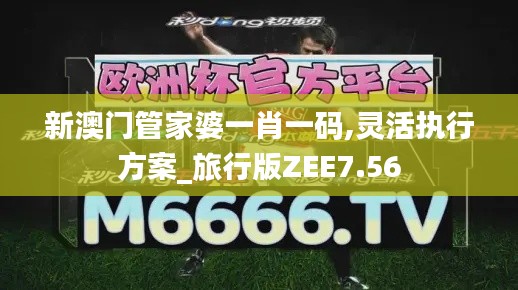 新澳門(mén)管家婆一肖一碼,靈活執(zhí)行方案_旅行版ZEE7.56