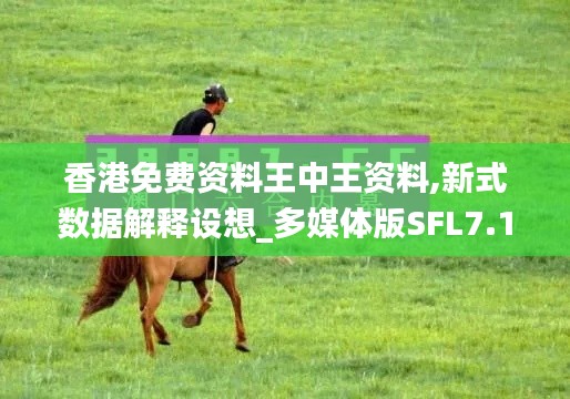 香港免費(fèi)資料王中王資料,新式數(shù)據(jù)解釋設(shè)想_多媒體版SFL7.17
