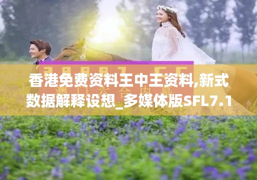 香港免費(fèi)資料王中王資料,新式數(shù)據(jù)解釋設(shè)想_多媒體版SFL7.17