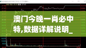 澳門今晚一肖必中特,數據詳解說明_驅動版YWU7.56