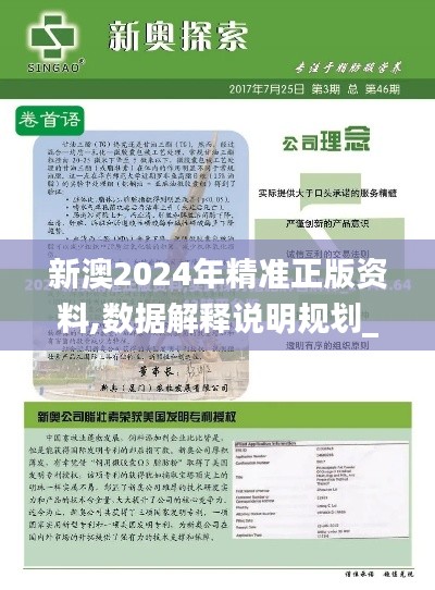 新澳2024年精準正版資料,數據解釋說明規劃_云端版IXM7.74