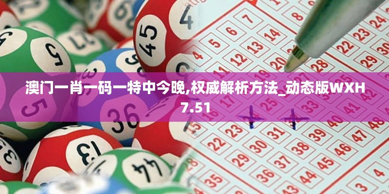 澳門一肖一碼一特中今晚,權威解析方法_動態版WXH7.51