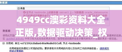 4949cc澳彩資料大全正版,數(shù)據(jù)驅動決策_權限版YNT7.3