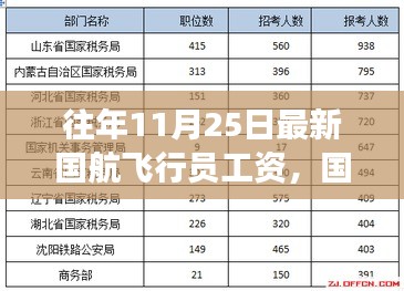 國(guó)航飛行員工資待遇揭秘,歷年觀察與最新分析