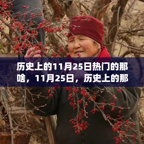 歷史上的溫馨趣事與深厚友情,聚焦11月25日的那些精彩瞬間