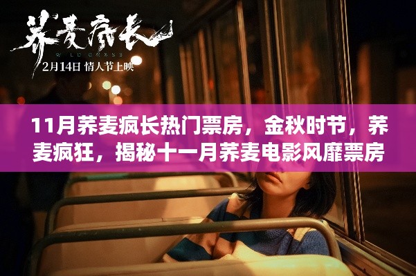 揭秘十一月蕎麥電影風(fēng)靡背后的故事,金秋時(shí)節(jié)蕎麥瘋狂引領(lǐng)票房熱潮