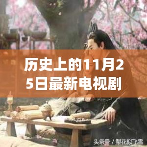 心向遠方，追尋自然美景的電視劇之旅，手機在線觀看，歷史11月25日