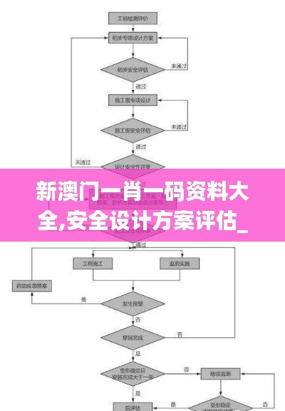 新澳門一肖一碼資料大全,安全設計方案評估_傳遞版TAY13.74