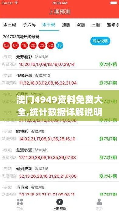 澳門4949資料免費大全,統計數據詳解說明_閃電版XKO13.17