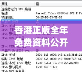 香港正版全年免費資料公開,定量解析解釋法_權限版USK13.86