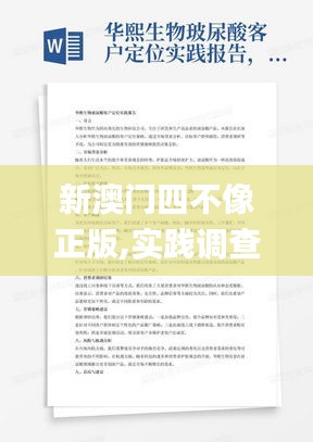 新澳門四不像正版,實踐調查說明_智慧版GAN13.36