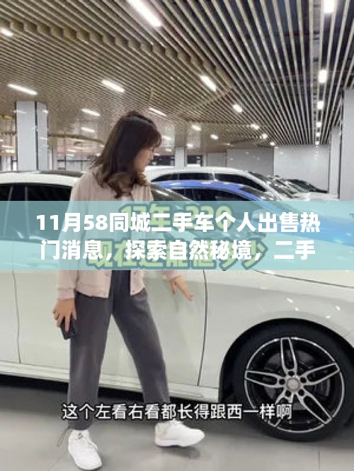 11月58同城二手車交易之旅,遠(yuǎn)離塵囂,探索自然秘境的熱門選擇