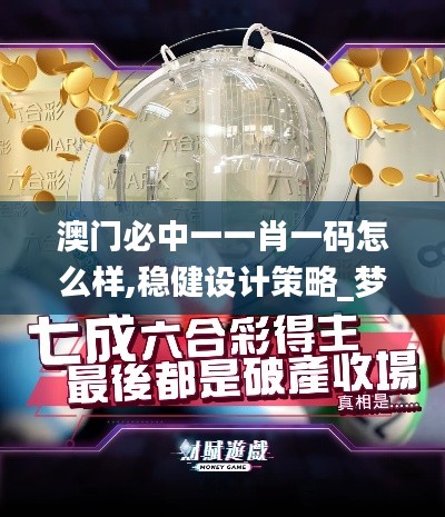 澳門必中一一肖一碼怎么樣,穩健設計策略_夢想版OTA13.90
