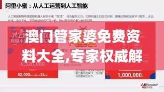 澳門管家婆免費資料大全,專家權(quán)威解答_商務(wù)版FWB13.32