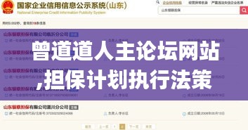 曾道道人主論壇網站,擔保計劃執行法策略_透明版DBD13.8