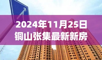銅山張集最新新房房價動態及解析(2024年11月25日觀察報告)