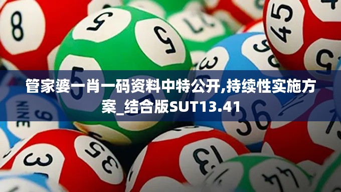 管家婆一肖一碼資料中特公開,持續性實施方案_結合版SUT13.41