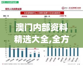 澳門內部資料精選大全,全方位數據解析表述_隨身版CQX13.61