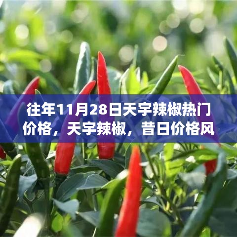 天宇辣椒熱門(mén)價(jià)格揭秘，昔日價(jià)格風(fēng)云回顧與影響分析