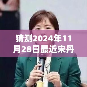宋丹丹新劇預測指南，揭秘2024年11月28日最新電視劇猜測與期待！
