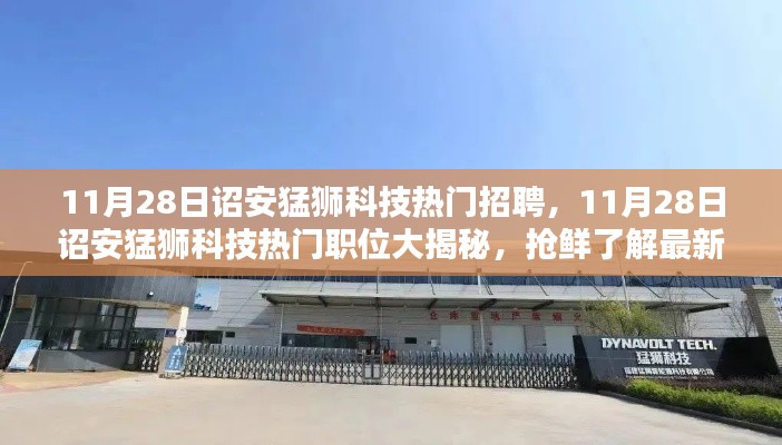 詔安猛獅科技最新招聘風向揭秘,熱門職位搶鮮看