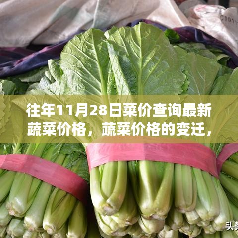 尋找自信與成就感的種子,蔬菜價(jià)格的變遷與歷年11月28日最新菜價(jià)查詢