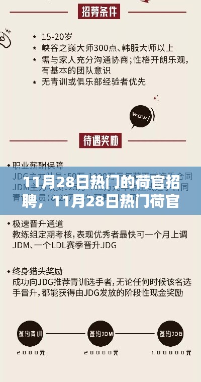 11月28日荷官招聘熱點(diǎn),行業(yè)趨勢(shì)與求職指南全解析