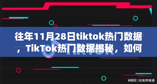 揭秘往年11月28日TikTok流行趨勢與熱門數據解析