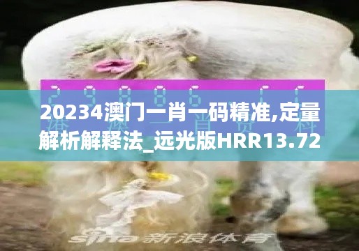 20234澳門一肖一碼精準,定量解析解釋法_遠光版HRR13.72
